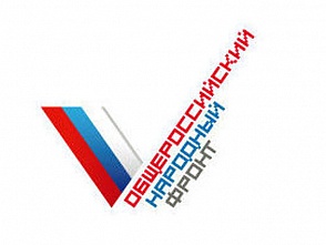 Работу такси нужно выводить из тени, считают в ОНФ Работу такси нужно выводить из тени, считают в ОНФ